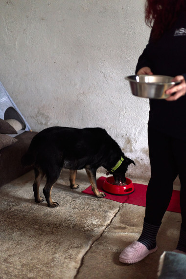 diplomprojekt_landleben_21