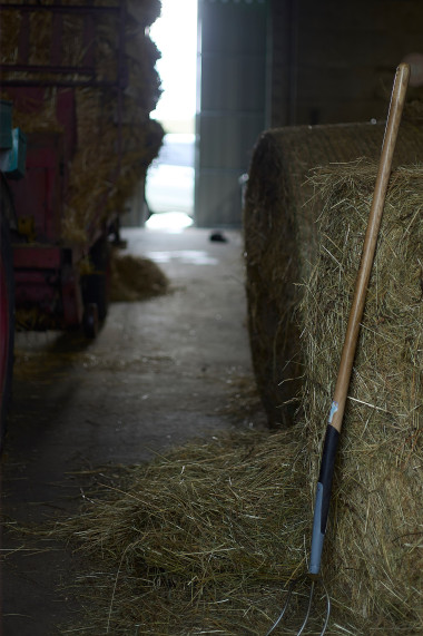 diplomprojekt_landleben_48