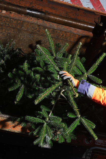 einfluss-von-ki-auf-die-fotografische-ausbildung-in-beispielbildern-278