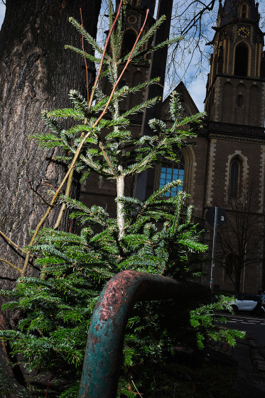 einfluss-von-ki-auf-die-fotografische-ausbildung-in-beispielbildern-264