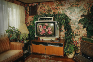 einfluss-von-ki-auf-die-fotografische-ausbildung-in-beispielbildern-240-kopie-2