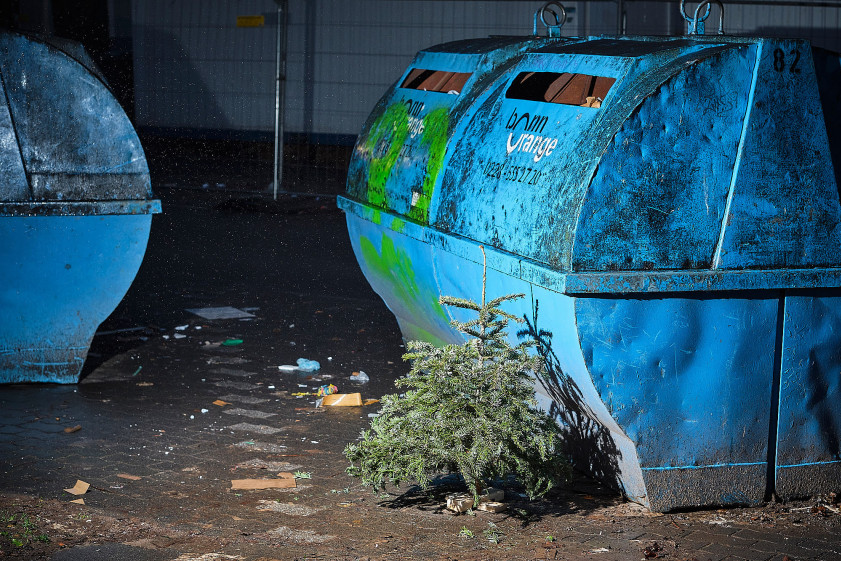 einfluss-von-ki-auf-die-fotografische-ausbildung-in-beispielbildern-263