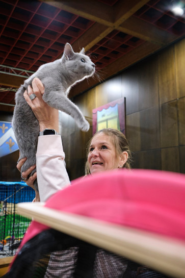 reportage-uber-katzenhaltung-im-rahmen-der-ausbildung-zur-fotografin-entstanden-350