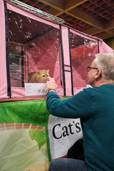 reportage-uber-katzenhaltung-im-rahmen-der-ausbildung-zur-fotografin-entstanden-326
