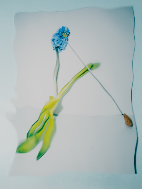 portrais-von-dirigentinnen-avandgardistische-gestaltung-im-rahmen-der-ausbildung-zum-fotografen-440