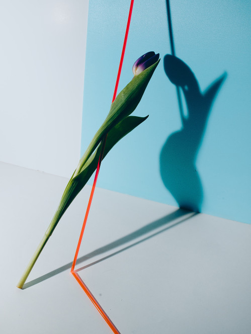 portrais-von-dirigentinnen-avandgardistische-gestaltung-im-rahmen-der-ausbildung-zum-fotografen-429