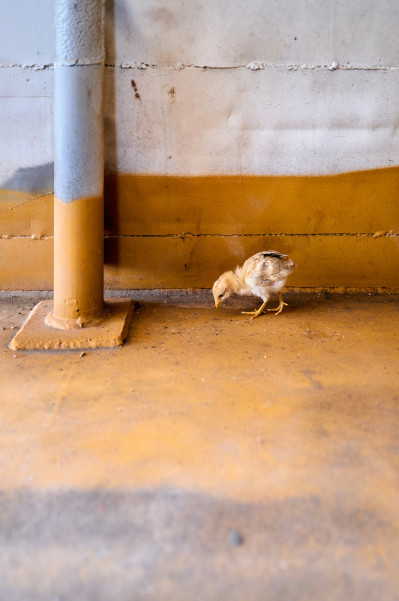 reportage-reisefotografie-im-rahmen-des-fotografiestudiums-009