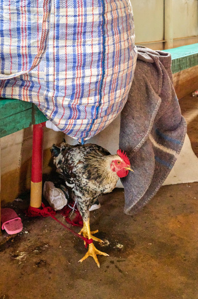 reportage-reisefotografie-im-rahmen-des-fotografiestudiums-033