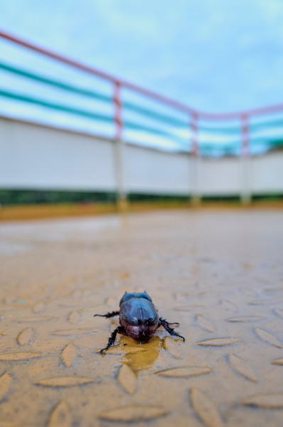 reportage-reisefotografie-im-rahmen-des-fotografiestudiums-041