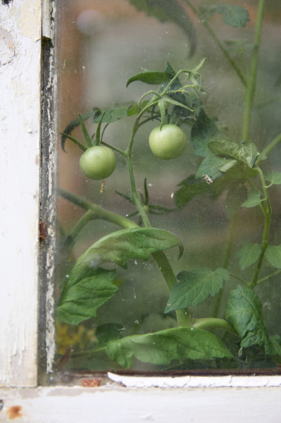 r-38eportage-uber-den-osten-deutschlands-imausbildungslehrgang-88