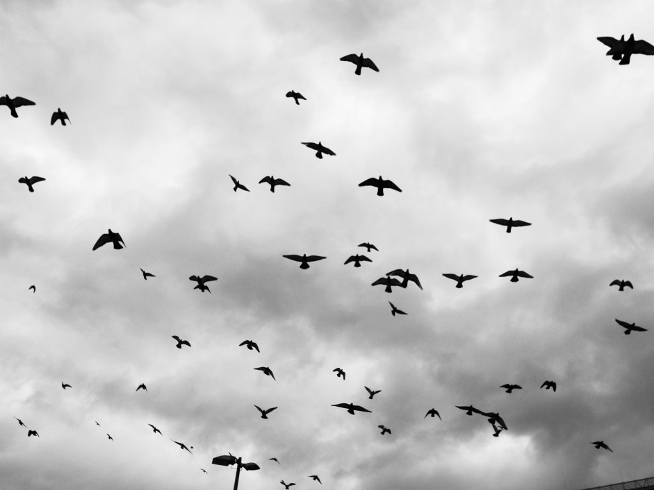 streetfotografie-uber-jugendliche-in-plattenbauten-009