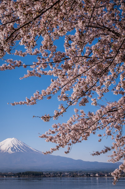reportage-uber-japan-im-rahmen-des-fotografie-studiums-192