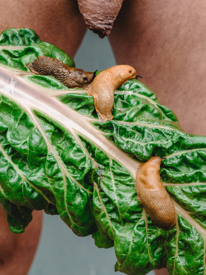 mannerakte-inszenierte-fotografie-entstanden-im-rahmen-der-ausbildung-zur-fotogrin-056
