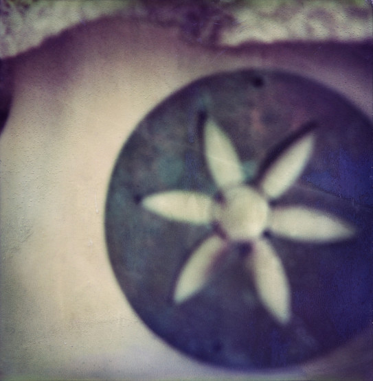 fotograf-ausbildung-umschulung-fotografie-studium-absolvent-corinna13