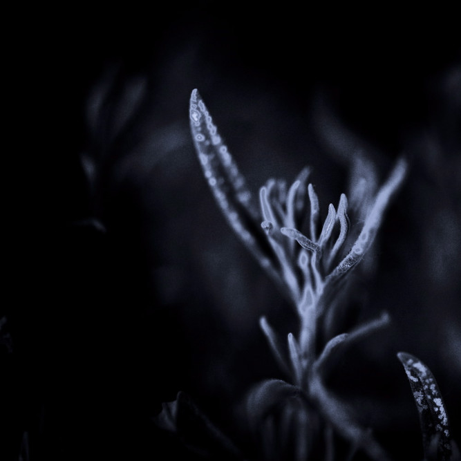 fotograf-ausbildung-umschulung-fotografie-studium-absolvent-faustmann14