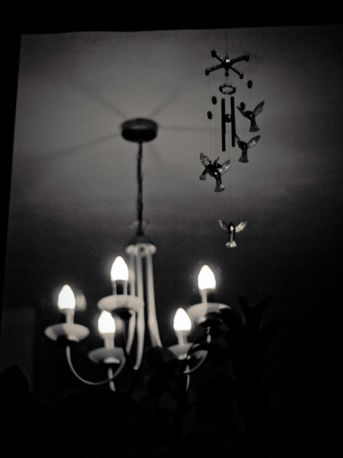 fotograf-ausbildung-umschulung-fotografie-studium-absolvent-faustmann08