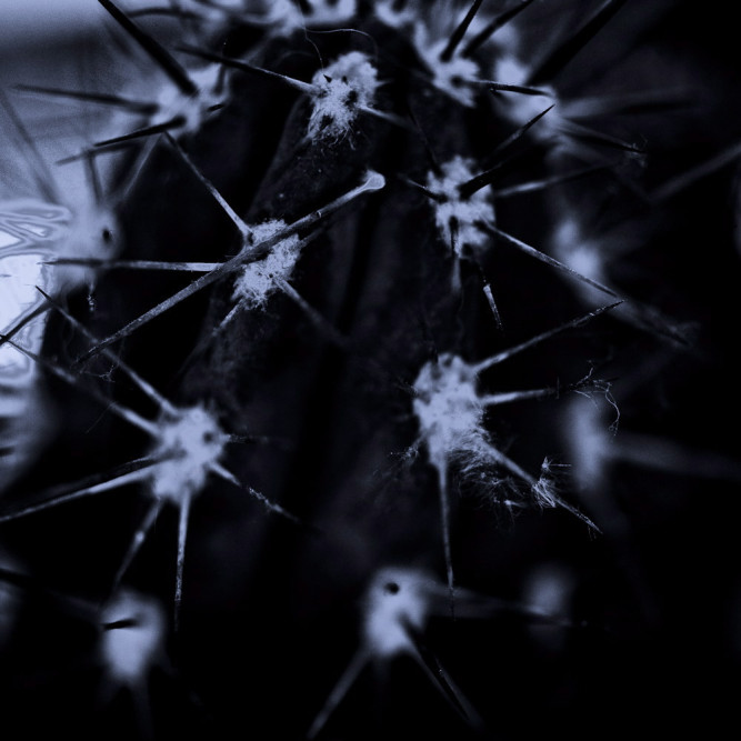 fotograf-ausbildung-umschulung-fotografie-studium-absolvent-faustmann16