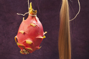 vildan-veckbach-banner02