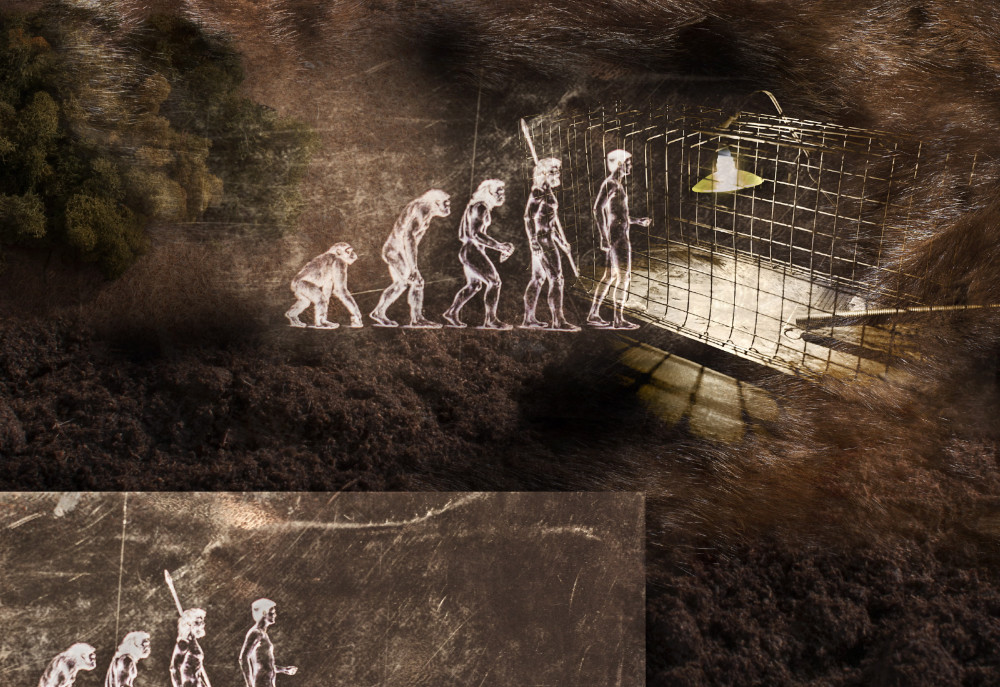 fotograf-ausbildung-umschulung-fotografie-studium-absolvent-staerk01