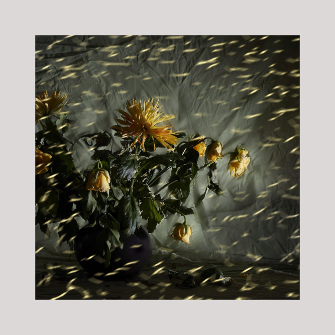 fotograf-ausbildung-umschulung-fotografie-studium-absolvent-staerk09