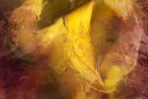 frauke-staerk-fotografausbildung-berufsbegleitend-studium-fotografie-000