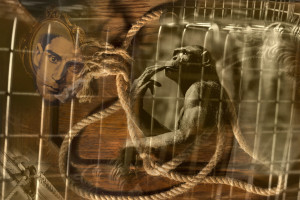 frauke-staerk-fotografausbildung-berufsbegleitend-studium-fotografie-04