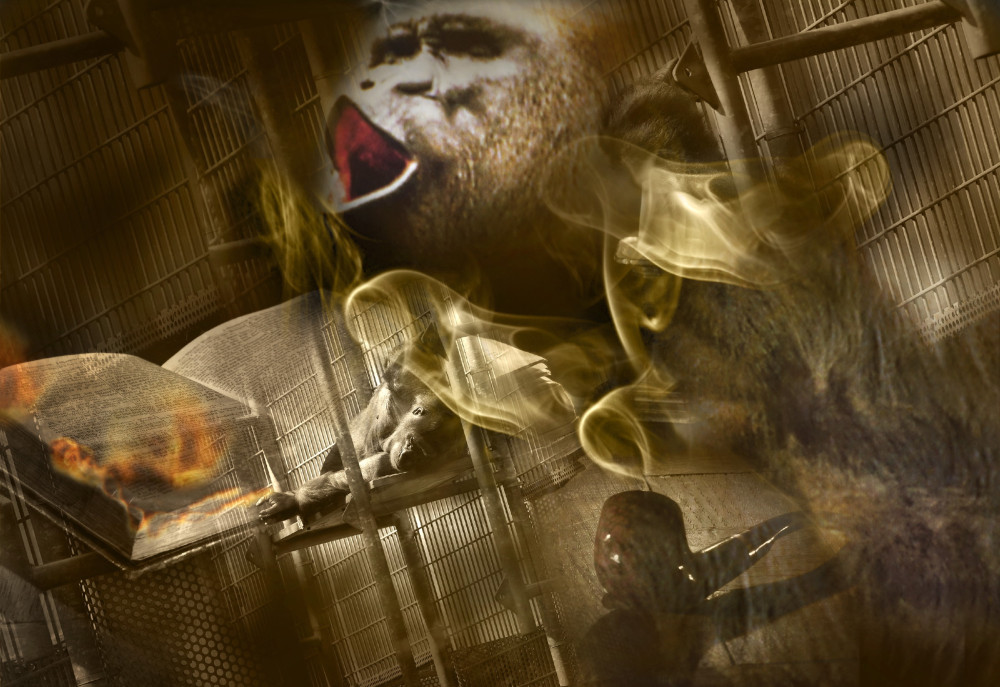 fotograf-ausbildung-umschulung-fotografie-studium-absolvent-staerk03