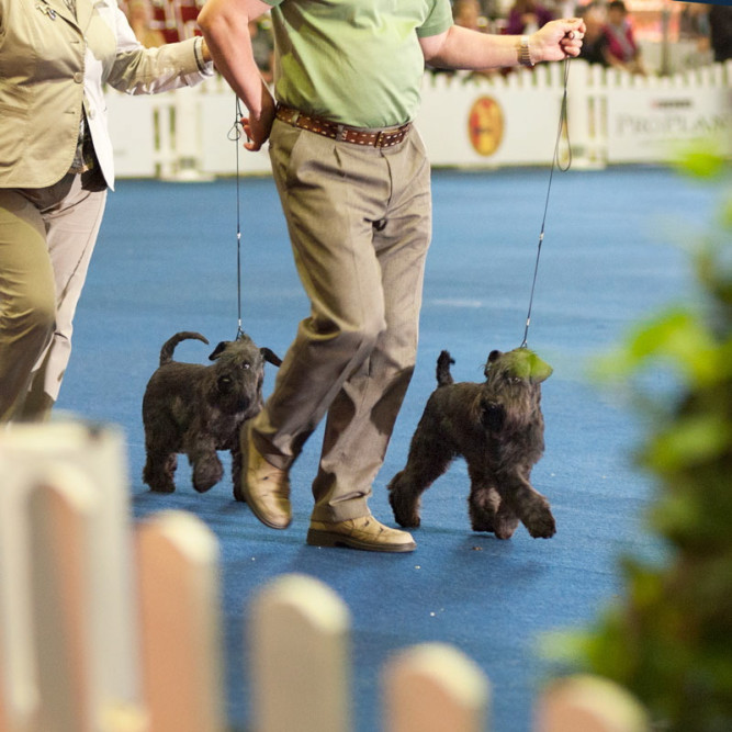 ausbildung-zur-fotografin-koeln-annette-voelkner-studium-fotografie-10