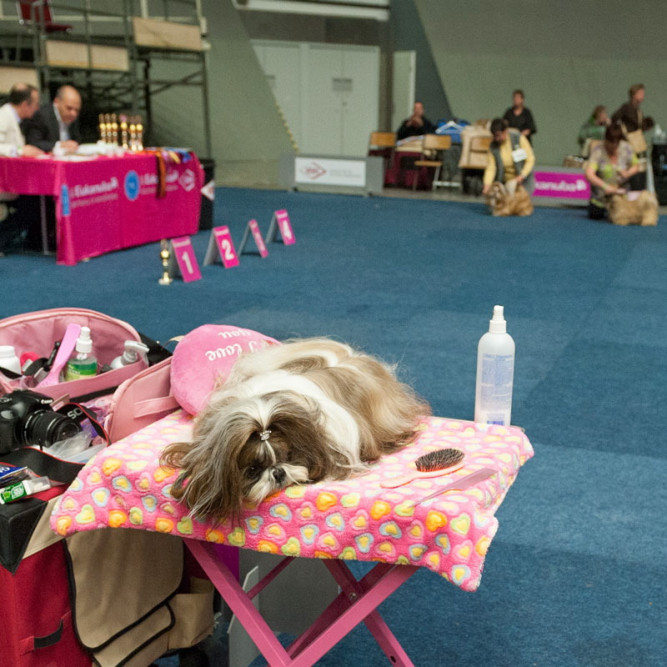 ausbildung-zur-fotografin-koeln-annette-voelkner-studium-fotografie-09