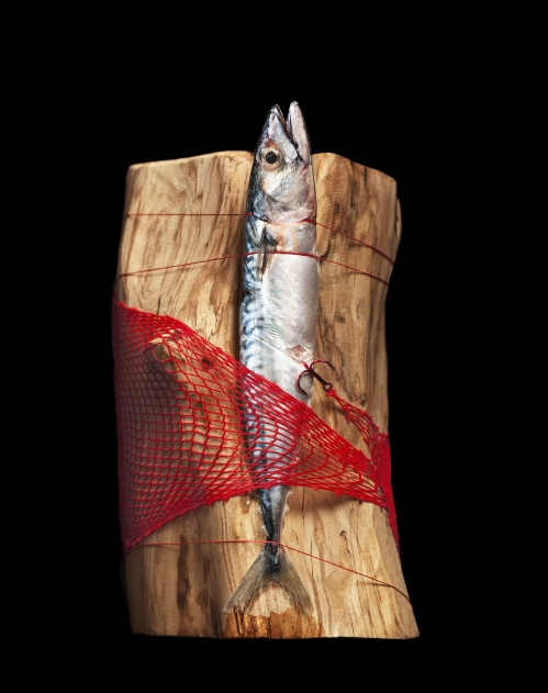 ausbildung-zur-fotografin-koeln-annette-voelkner-studium-fotografie-01