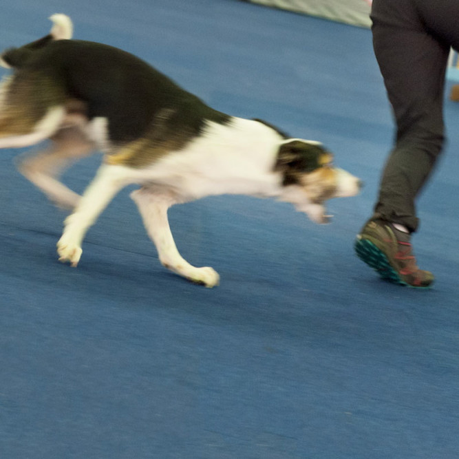 ausbildung-zur-fotografin-koeln-annette-voelkner-studium-fotografie-13