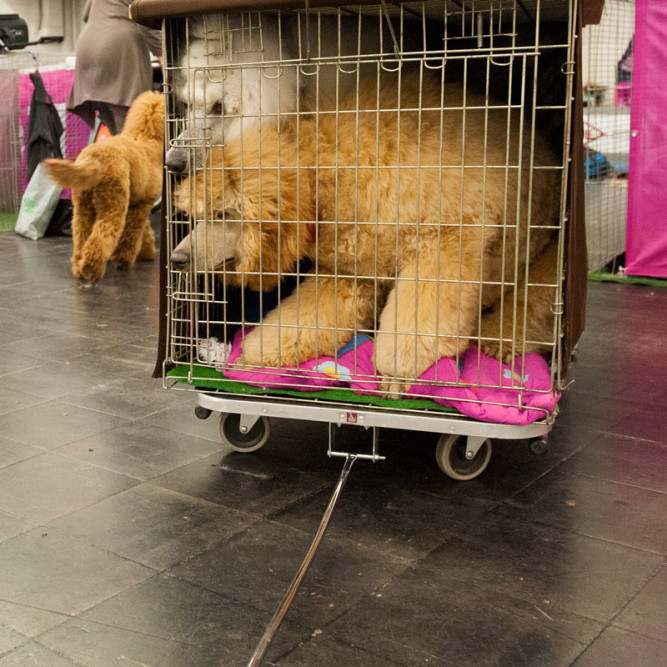 ausbildung-zur-fotografin-koeln-annette-voelkner-studium-fotografie-06