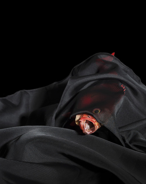 ausbildung-zur-fotografin-koeln-annette-voelkner-studium-fotografie-04