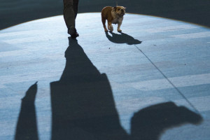 ausbildung-zur-fotografin-koeln-annette-voelkner-studium-fotografie-02