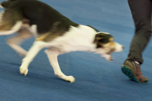 ausbildung-zur-fotografin-koeln-annette-voelkner-studium-fotografie-06