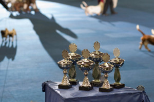 ausbildung-zur-fotografin-koeln-annette-voelkner-studium-fotografie-04