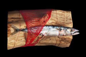 ausbildung-zur-fotografin-koeln-annette-voelkner-studium-fotografie-01