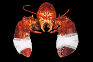 ausbildung-zur-fotografin-koeln-annette-voelkner-studium-fotografie-05