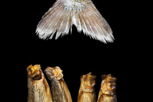 ausbildung-zur-fotografin-koeln-annette-voelkner-studium-fotografie-03