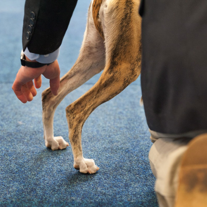 ausbildung-zur-fotografin-koeln-annette-voelkner-studium-fotografie-08