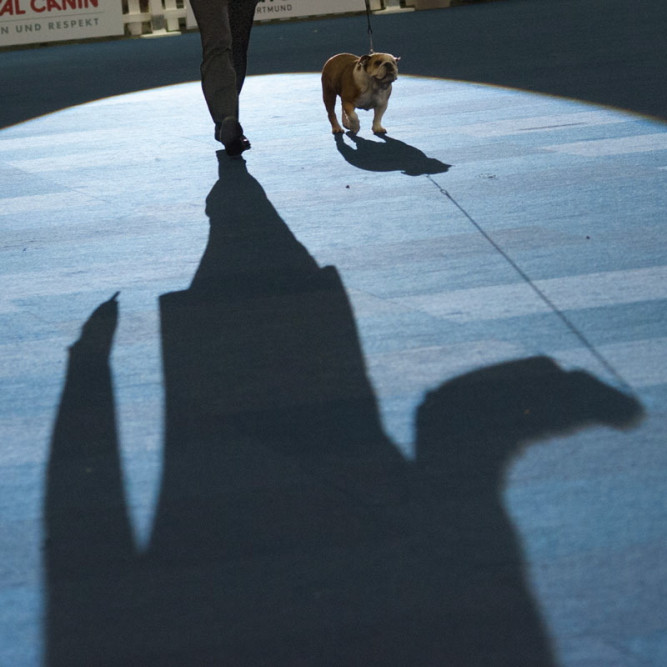 ausbildung-zur-fotografin-koeln-annette-voelkner-studium-fotografie-12