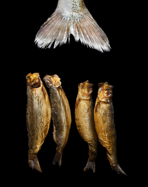 ausbildung-zur-fotografin-koeln-annette-voelkner-studium-fotografie-03