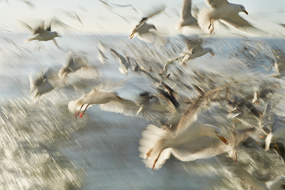 britta-strohschen-fotograf-ausbildung-berufsbegleitend-studium-fotografie-37