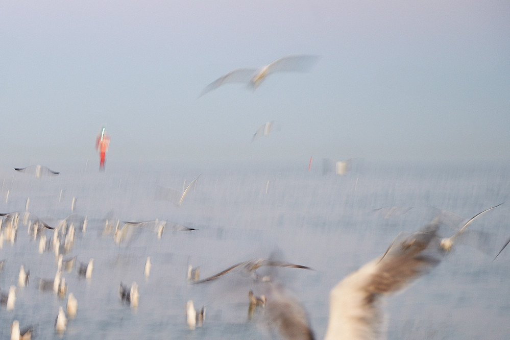 britta-strohschen-fotograf-ausbildung-berufsbegleitend-studium-fotografie-40