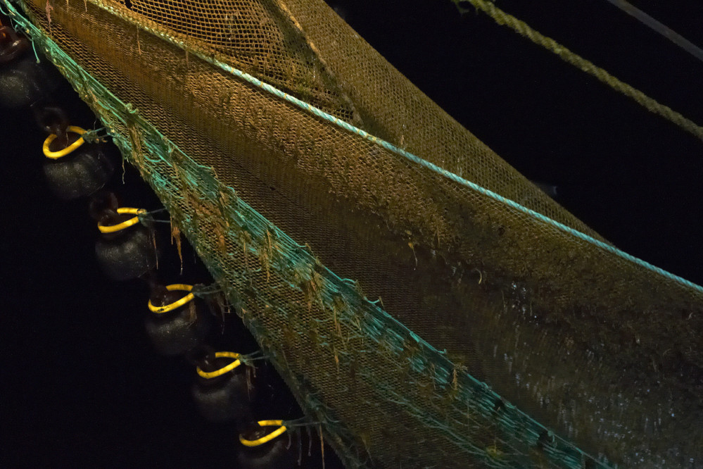 britta-strohschen-fotograf-ausbildung-berufsbegleitend-studium-fotografie-33