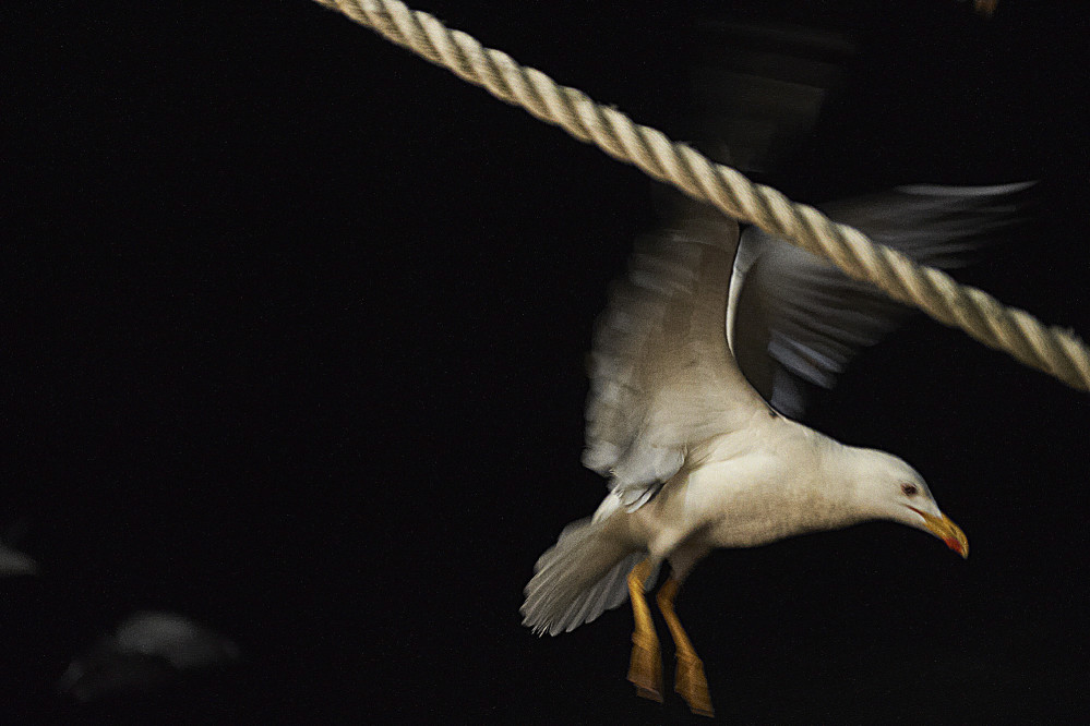 britta-strohschen-fotograf-ausbildung-berufsbegleitend-studium-fotografie-41