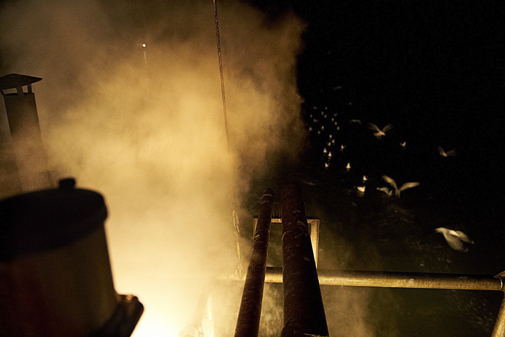 britta-strohschen-fotograf-ausbildung-berufsbegleitend-studium-fotografie-31