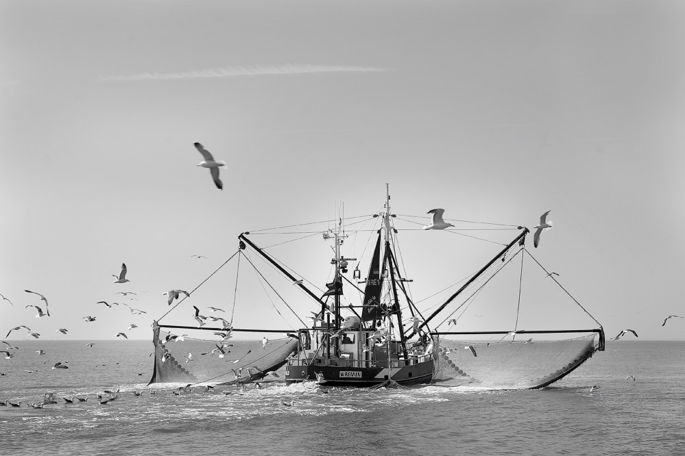 britta-strohschen-fotograf-ausbildung-berufsbegleitend-studium-fotografie-30