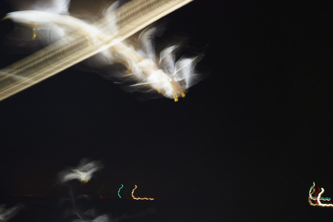 britta-strohschen-fotograf-ausbildung-berufsbegleitend-studium-fotografie-44