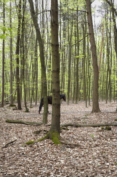 fotograf-ausbildung-umschulung-fotografie-studium-hettesheimer15